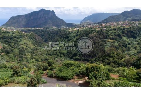 Helårsgrund i Santana, Madeira, Santana - € 180.000 | Ref: JS05-T024 - foto 9