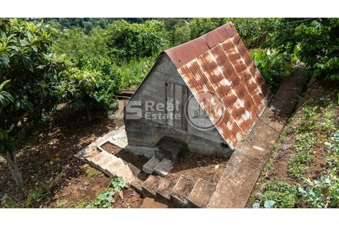 Helårsgrund i Santana, Madeira, Santana - € 180.000 | Ref: JS05-T024 - foto 10