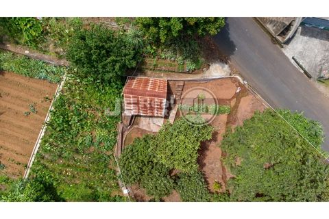 Helårsgrund i Santana, Madeira, Santana - € 180.000 | Ref: JS05-T024 - foto 14