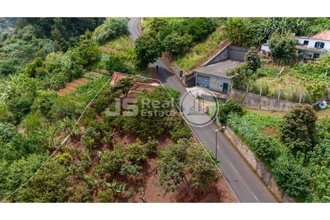 Helårsgrund i Santana, Madeira, Santana - € 180.000 | Ref: JS05-T024 - foto 15