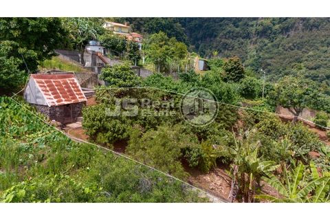 Helårsgrund i Santana, Madeira, Santana - € 180.000 | Ref: JS05-T024 - foto 16