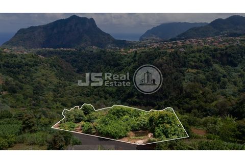Helårsgrund i Santana, Madeira, Santana - € 180.000 | Ref: JS05-T024 - foto 17