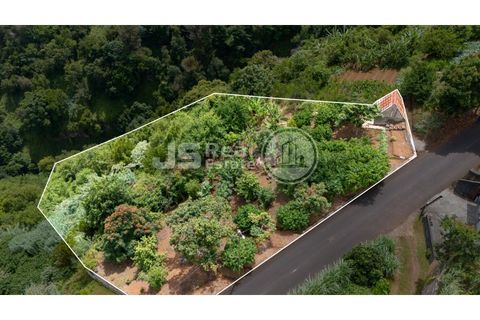 Helårsgrund i Santana, Madeira, Santana - € 180.000 | Ref: JS05-T024 - foto 18