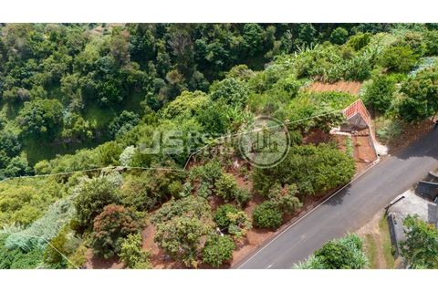 Helårsgrund i Santana, Madeira, Santana - € 180.000 | Ref: JS05-T024 - foto 19