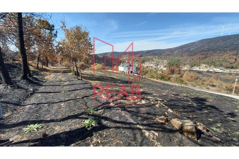 Helårsgrund i Sernancelhe, Viseu, Sernancelhe - € 14.000 | Ref: 247A/ 2025 - foto 3