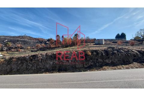 Helårsgrund i Sernancelhe, Viseu, Sernancelhe - € 14.000 | Ref: 247A/ 2025 - foto 7