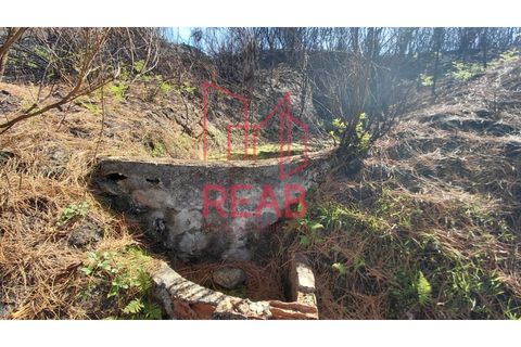 Helårsgrund i Sernancelhe, Viseu, Sernancelhe - € 14.000 | Ref: 247A/ 2025 - foto 8