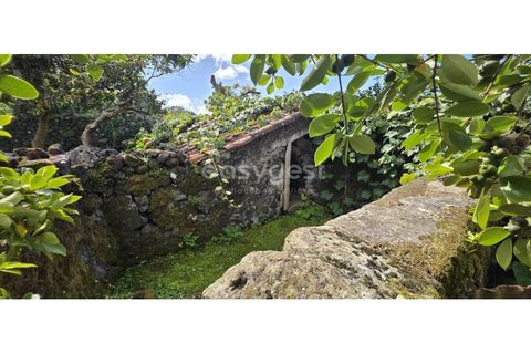 Villa i Terra Cha, Terceira, Terra Cha - € 230.000 | Ref: AZ98127MS - foto 28