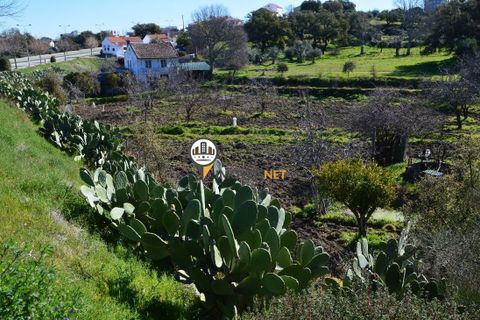 Helårsgrund i Castelo Branco, Castelo Branco, Castelo Branco - € 1.500.000 | Ref: 2473 - foto 2