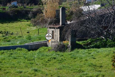 Helårsgrund i Castelo Branco, Castelo Branco, Castelo Branco - € 1.500.000 | Ref: 2473 - foto 3