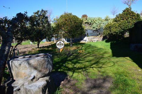 Helårsgrund i Castelo Branco, Castelo Branco, Castelo Branco - € 1.500.000 | Ref: 2473 - foto 5
