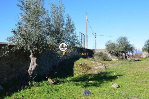 Helårsgrund i Castelo Branco, Castelo Branco, Castelo Branco - € 1.500.000 | Ref: 2473 - foto 6
