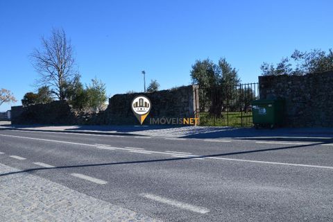 Helårsgrund i Castelo Branco, Castelo Branco, Castelo Branco - € 1.500.000 | Ref: 2473 - foto 7