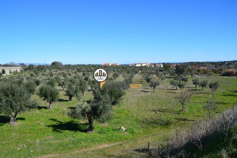 Helårsgrund i Castelo Branco, Castelo Branco, Castelo Branco - € 1.500.000 | Ref: 2473 - foto 8