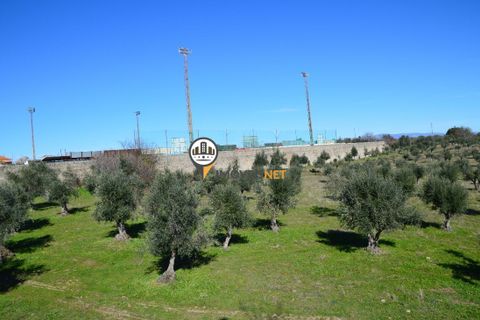 Helårsgrund i Castelo Branco, Castelo Branco, Castelo Branco - € 1.500.000 | Ref: 2473 - foto 9