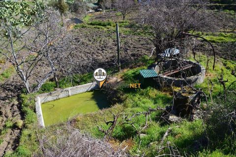 Helårsgrund i Castelo Branco, Castelo Branco, Castelo Branco - € 1.500.000 | Ref: 2473 - foto 11