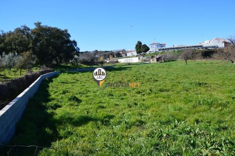 Helårsgrund i Castelo Branco, Castelo Branco, Castelo Branco - € 1.500.000 | Ref: 2473 - foto 12
