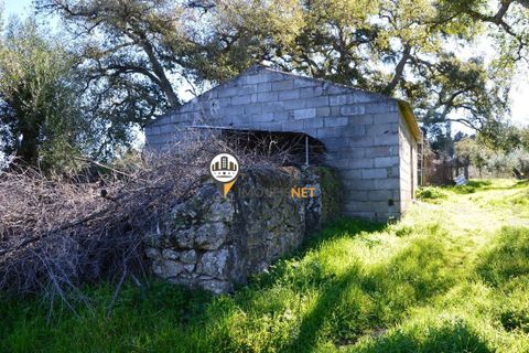 Helårsgrund i Castelo Branco, Castelo Branco, Castelo Branco - € 1.500.000 | Ref: 2473 - foto 13
