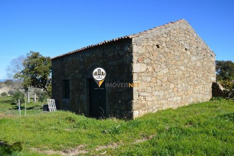 Helårsgrund i Castelo Branco, Castelo Branco, Castelo Branco - € 1.500.000 | Ref: 2473 - foto 15