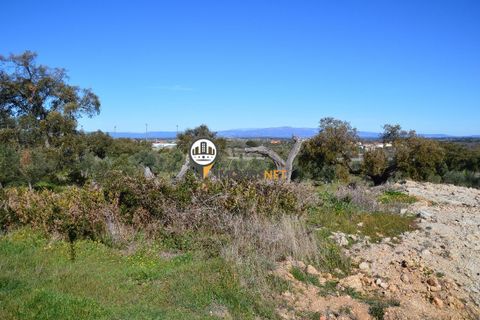 Helårsgrund i Castelo Branco, Castelo Branco, Castelo Branco - € 1.500.000 | Ref: 2473 - foto 17