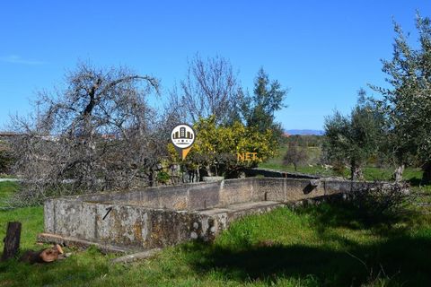 Helårsgrund i Castelo Branco, Castelo Branco, Castelo Branco - € 1.500.000 | Ref: 2473 - foto 18