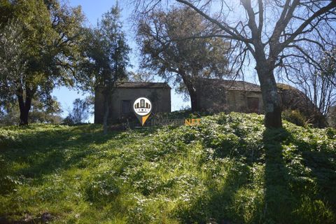 Helårsgrund i Castelo Branco, Castelo Branco, Castelo Branco - € 1.500.000 | Ref: 2473 - foto 20