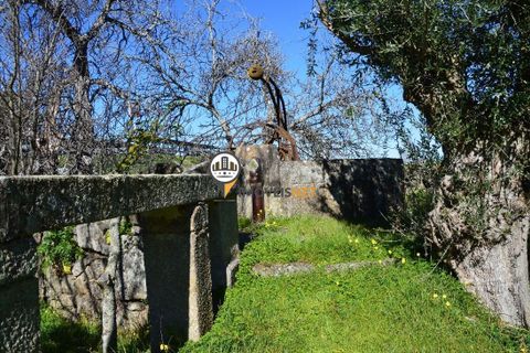 Helårsgrund i Castelo Branco, Castelo Branco, Castelo Branco - € 1.500.000 | Ref: 2473 - foto 21