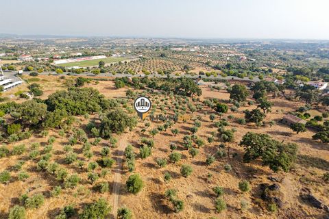 Helårsgrund i Castelo Branco, Castelo Branco, Castelo Branco - € 1.500.000 | Ref: 2473 - foto 24