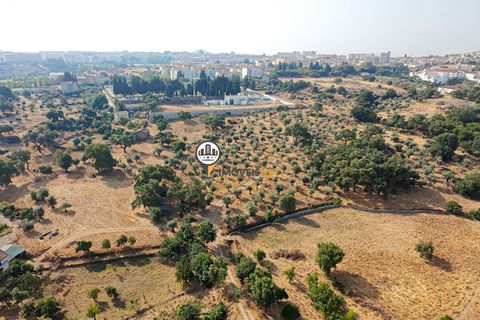 Helårsgrund i Castelo Branco, Castelo Branco, Castelo Branco - € 1.500.000 | Ref: 2473 - foto 27
