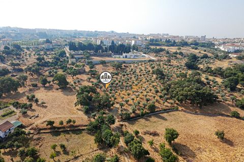 Helårsgrund i Castelo Branco, Castelo Branco, Castelo Branco - € 1.500.000 | Ref: 2473 - foto 28