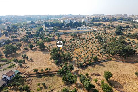 Helårsgrund i Castelo Branco, Castelo Branco, Castelo Branco - € 1.500.000 | Ref: 2473 - foto 29