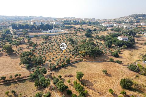 Helårsgrund i Castelo Branco, Castelo Branco, Castelo Branco - € 1.500.000 | Ref: 2473 - foto 30