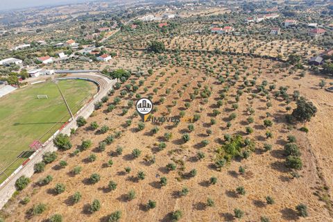 Helårsgrund i Castelo Branco, Castelo Branco, Castelo Branco - € 1.500.000 | Ref: 2473 - foto 31