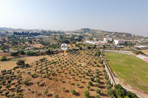 Helårsgrund i Castelo Branco, Castelo Branco, Castelo Branco - € 1.500.000 | Ref: 2473 - foto 32