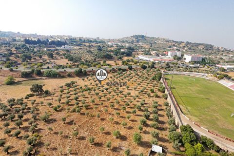 Helårsgrund i Castelo Branco, Castelo Branco, Castelo Branco - € 1.500.000 | Ref: 2473 - foto 33