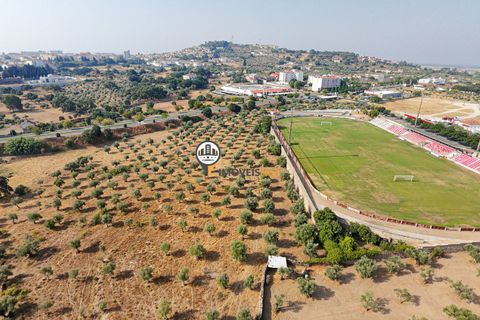 Helårsgrund i Castelo Branco, Castelo Branco, Castelo Branco - € 1.500.000 | Ref: 2473 - foto 34