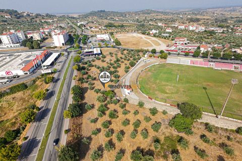 Helårsgrund i Castelo Branco, Castelo Branco, Castelo Branco - € 1.500.000 | Ref: 2473 - foto 37
