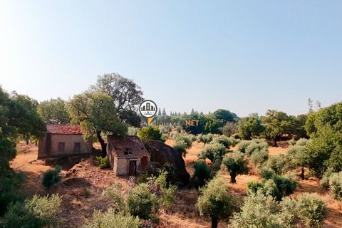 Helårsgrund i Castelo Branco, Castelo Branco, Castelo Branco - € 1.500.000 | Ref: 2473 - foto 38