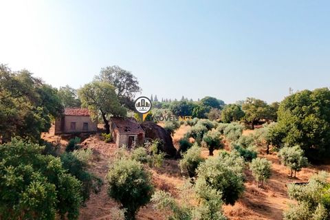Helårsgrund i Castelo Branco, Castelo Branco, Castelo Branco - € 1.500.000 | Ref: 2473 - foto 39