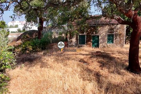 Helårsgrund i Castelo Branco, Castelo Branco, Castelo Branco - € 1.500.000 | Ref: 2473 - foto 40