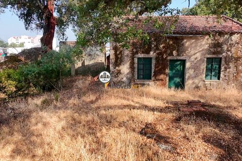 Helårsgrund i Castelo Branco, Castelo Branco, Castelo Branco - € 1.500.000 | Ref: 2473 - foto 41
