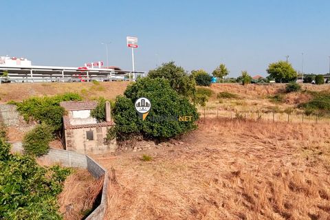 Helårsgrund i Castelo Branco, Castelo Branco, Castelo Branco - € 1.500.000 | Ref: 2473 - foto 42