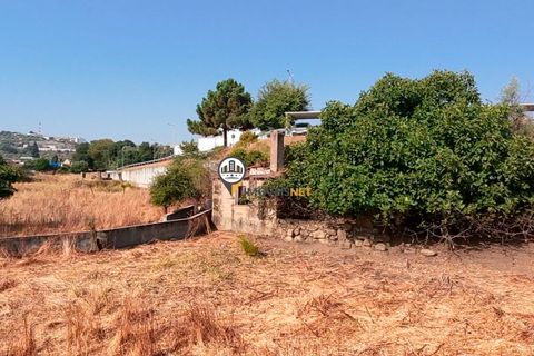Helårsgrund i Castelo Branco, Castelo Branco, Castelo Branco - € 1.500.000 | Ref: 2473 - foto 43