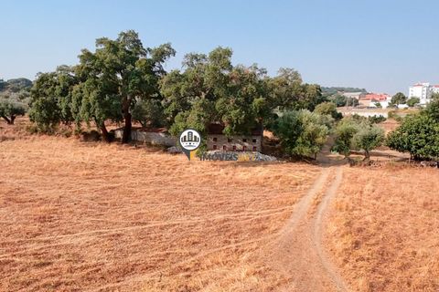 Helårsgrund i Castelo Branco, Castelo Branco, Castelo Branco - € 1.500.000 | Ref: 2473 - foto 44