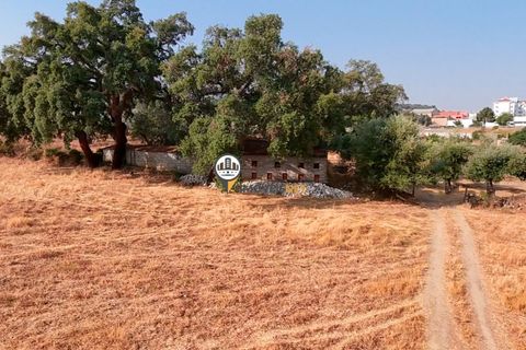 Helårsgrund i Castelo Branco, Castelo Branco, Castelo Branco - € 1.500.000 | Ref: 2473 - foto 45