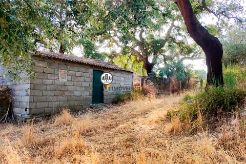Helårsgrund i Castelo Branco, Castelo Branco, Castelo Branco - € 1.500.000 | Ref: 2473 - foto 47