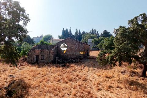 Helårsgrund i Castelo Branco, Castelo Branco, Castelo Branco - € 1.500.000 | Ref: 2473 - foto 49