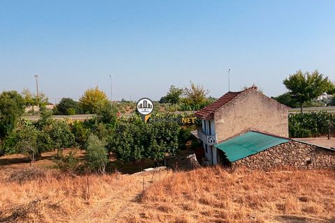 Helårsgrund i Castelo Branco, Castelo Branco, Castelo Branco - € 1.500.000 | Ref: 2473 - foto 50