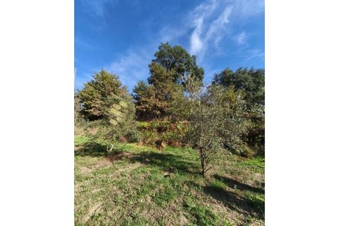 Helårsgrund i Regadas, Braga, Regadas - € 48.500 | Ref: TER_426 - foto 4