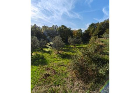 Helårsgrund i Regadas, Braga, Regadas - € 48.500 | Ref: TER_426 - foto 5